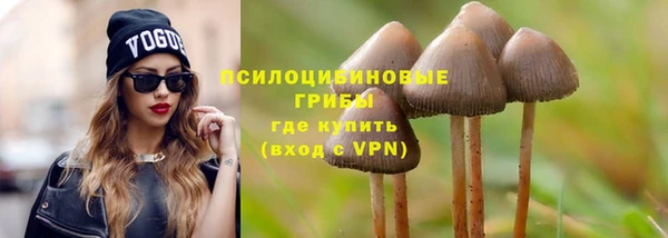 соль ск Козельск