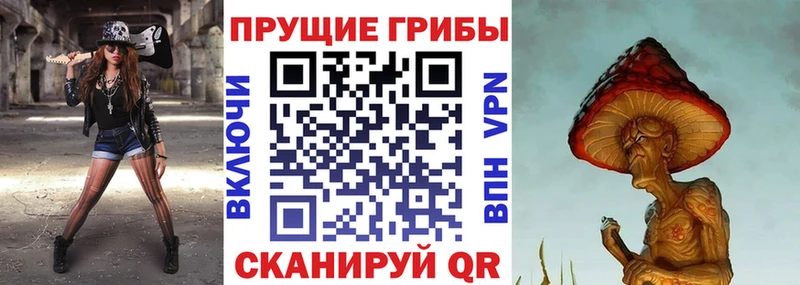 Псилоцибиновые грибы MAGIC MUSHROOMS  Купить  Луга 